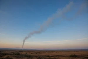 Fumaça ao vento